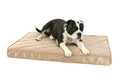 O'lala Pets ortopedická matrace PLATINUM
